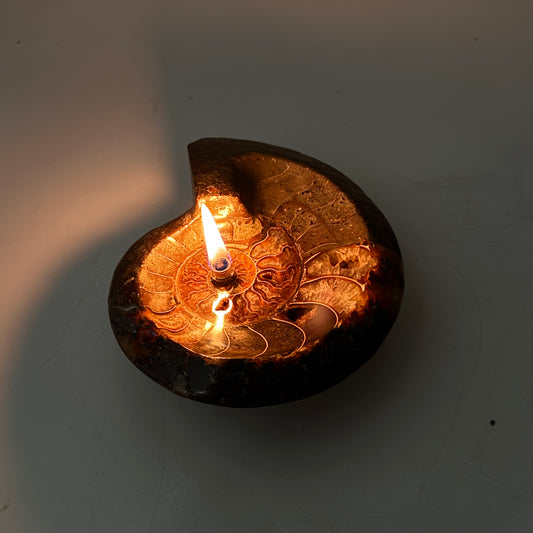 Manjunga Ammonite Fossil Bowl Candle– Handcrafted Rock Oil Lamp for Home Decor