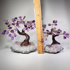 Gemstone Bonsai Tree - Amethyst