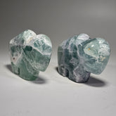 Fluorite Buffalo Fetish - 3.25x2.25 Inches