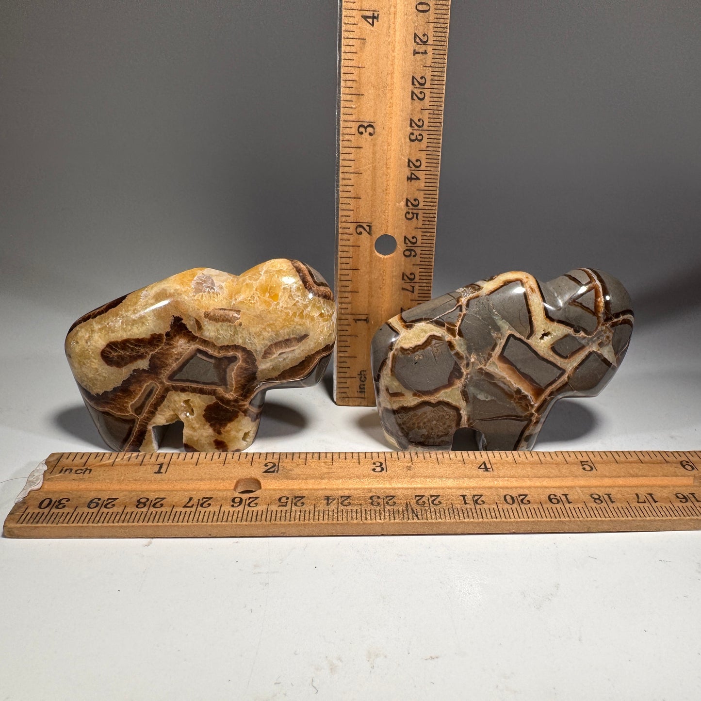 Septarian Buffalo Fetish - 2.5x1.75 Inches