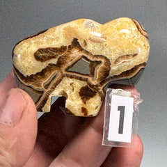 Septarian Buffalo Fetish - 2.5x1.75 Inches