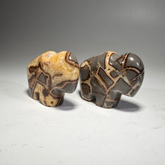 Septarian Buffalo Fetish - 2.5x1.75 Inches