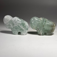 Fluorite Buffalo Fetish - 2.5x1.75 Inches