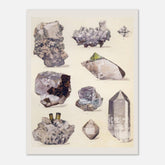 c097db09-0b5e-4f97-a349-495274f25b53