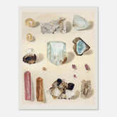 e9cb3b9e-ab53-492a-b645-a23e843c08ab