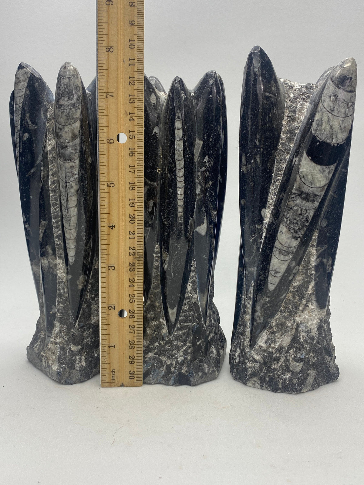 Orthoceras fossil tower specimen and wooden ruler, dark gray cephalopod spikes