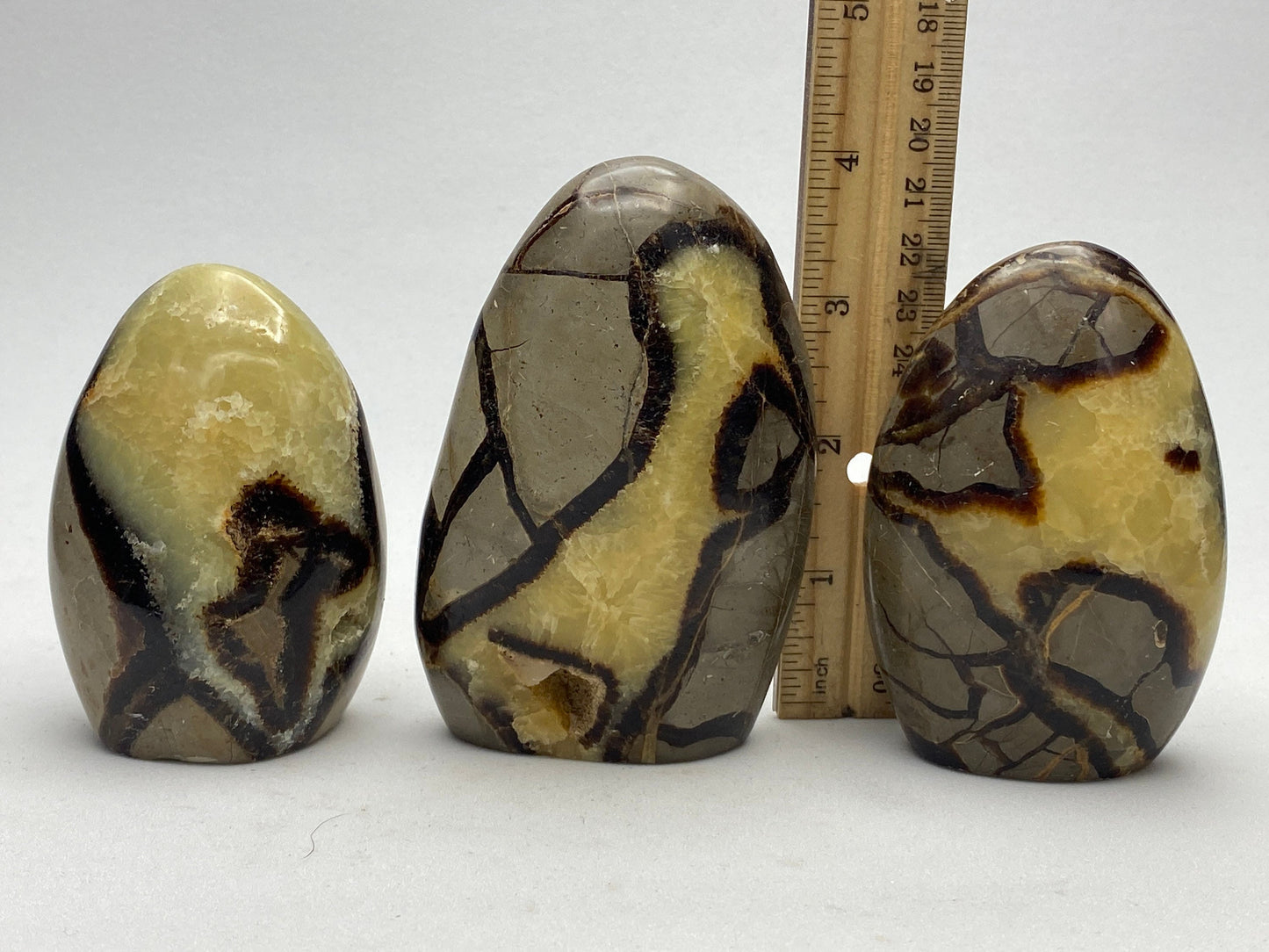 Roccia Roba - Septarian Nodule, dragon's egg, freeform, rock decor