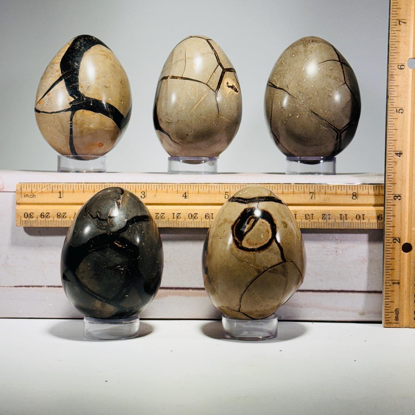 Roccia Roba - Dragons Egg Septarian Nodule, rock decor