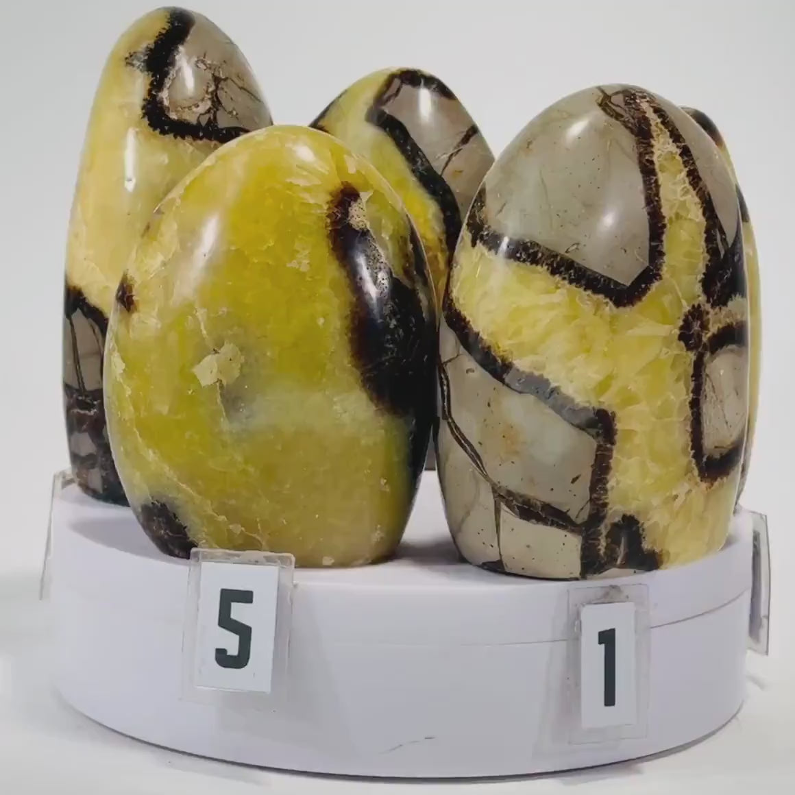 Septarian Nodule freeform