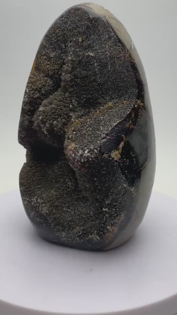 Dragons Egg Septarian Nodule