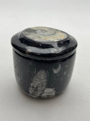 Fossil gift box, natural black Orthoceras fossils - RocciaRoba