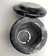 Fossil gift box, natural black Orthoceras fossils - RocciaRoba