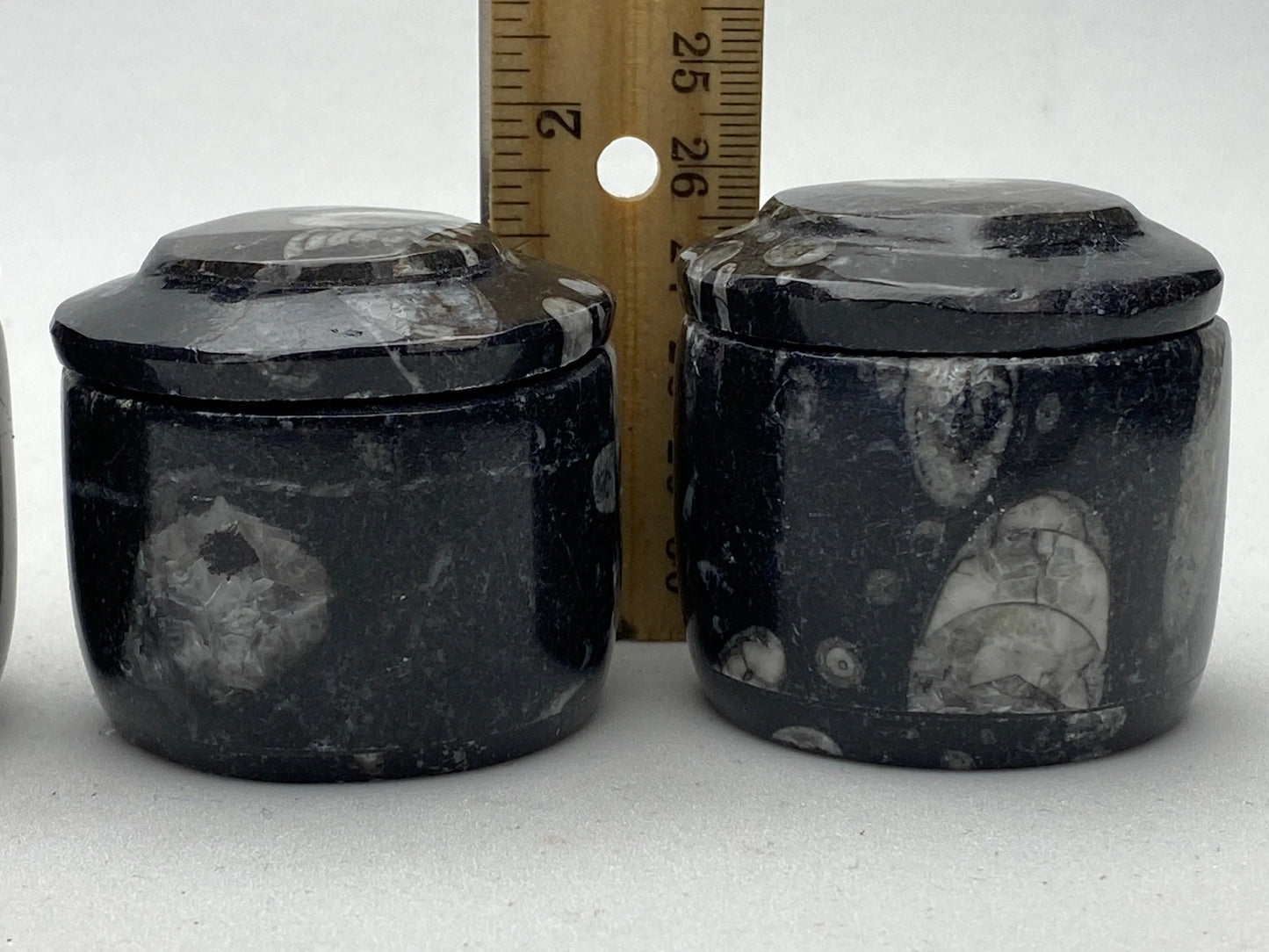 Fossil gift box, natural black Orthoceras fossils - RocciaRoba