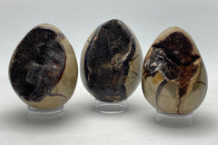 Dragons Egg Septarian Nodule