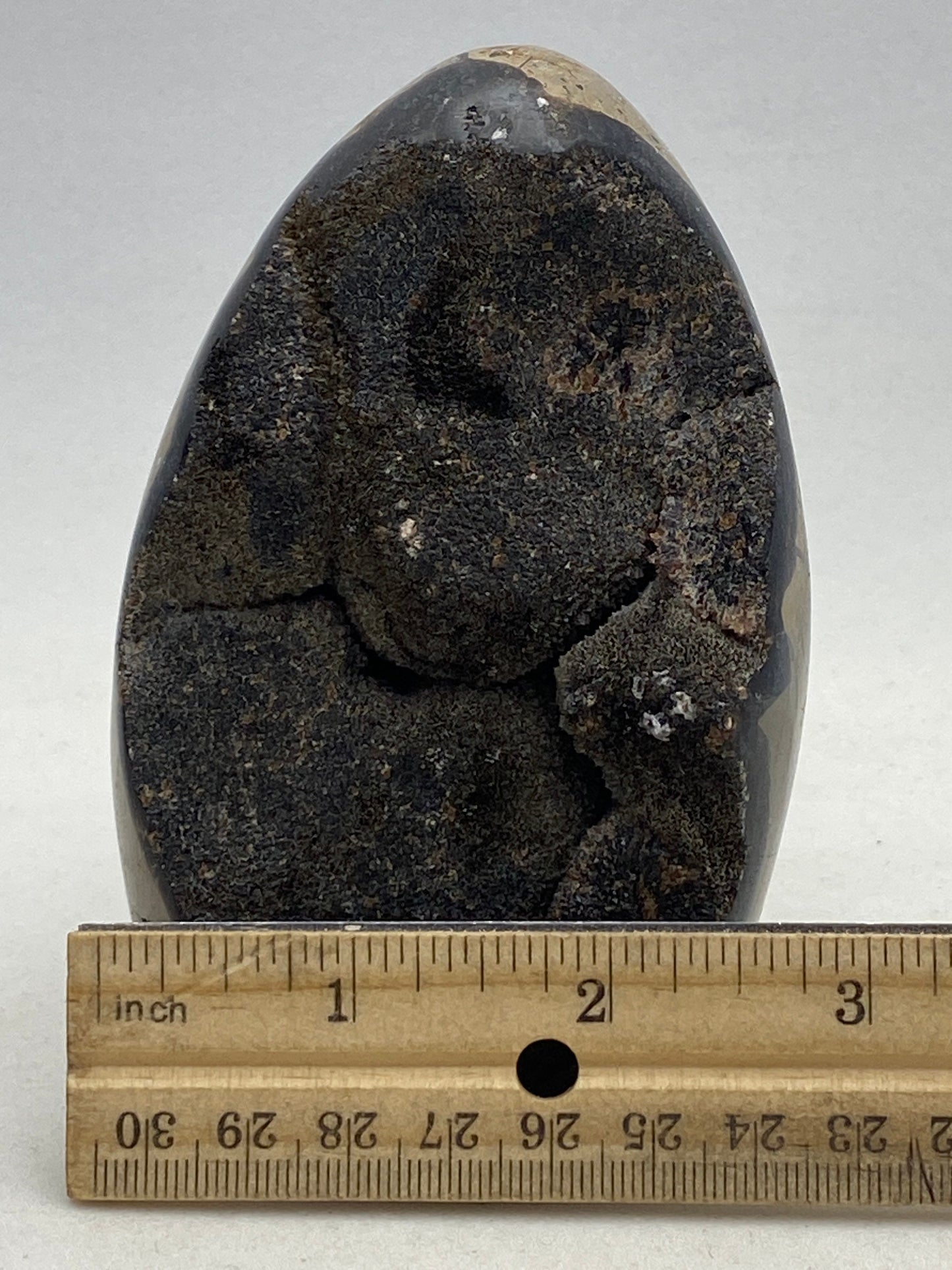 Septarian Egg