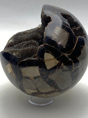 Large Septarian Sphere