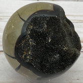 Dragons Egg SPHERE Septarian Nodule