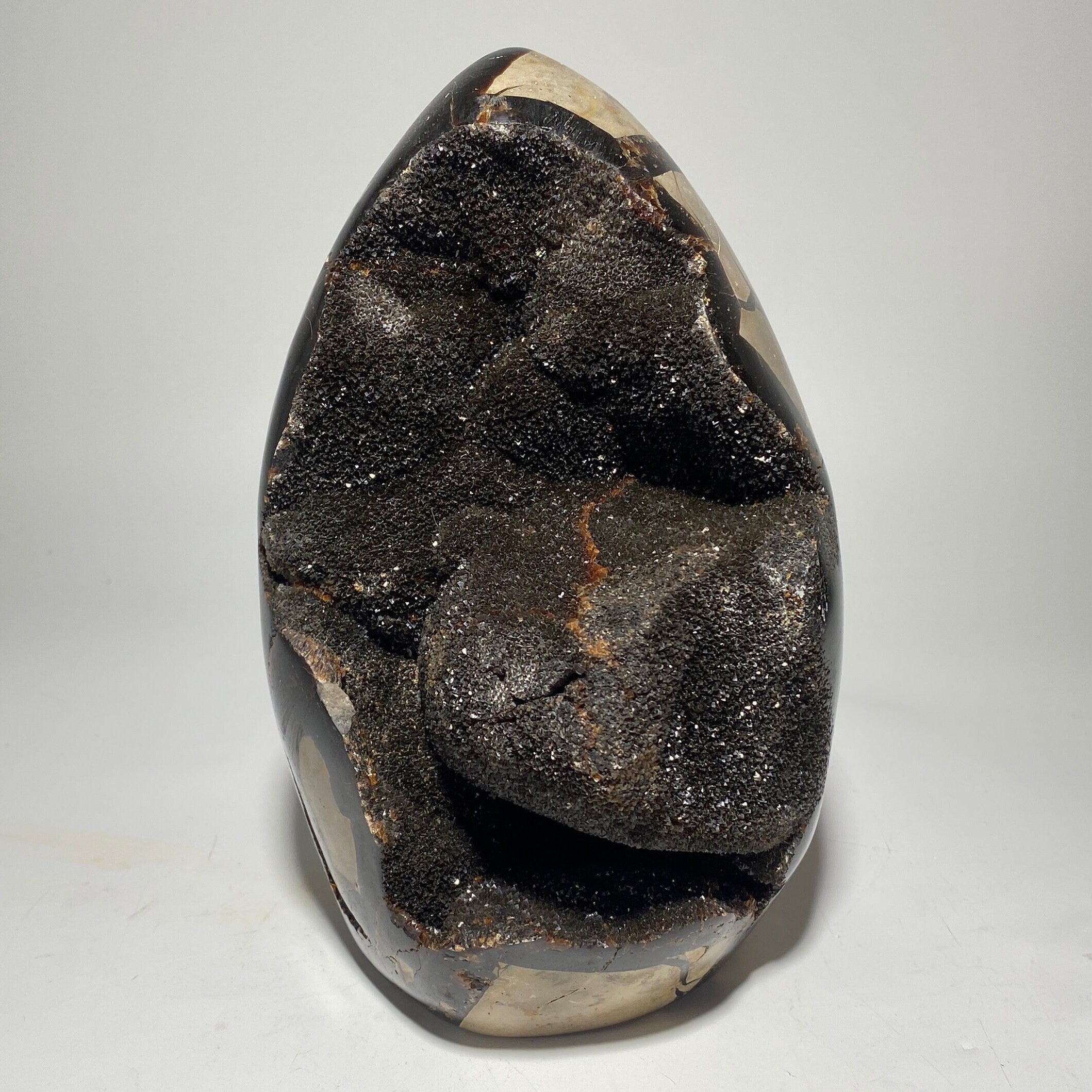 Dragon's Egg Septarian Nodule