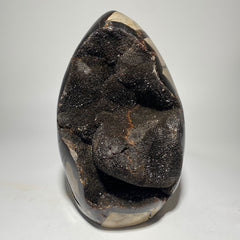 Dragon's Egg Septarian Nodule