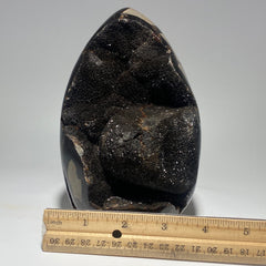 Dragon's Egg Septarian Nodule