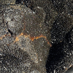 Dragon's Egg Septarian Nodule