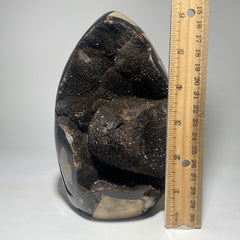 Dragon's Egg Septarian Nodule