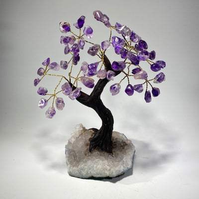 Unveiling the Magic: Bonsai Gemstone Trees for Beauty and Balance