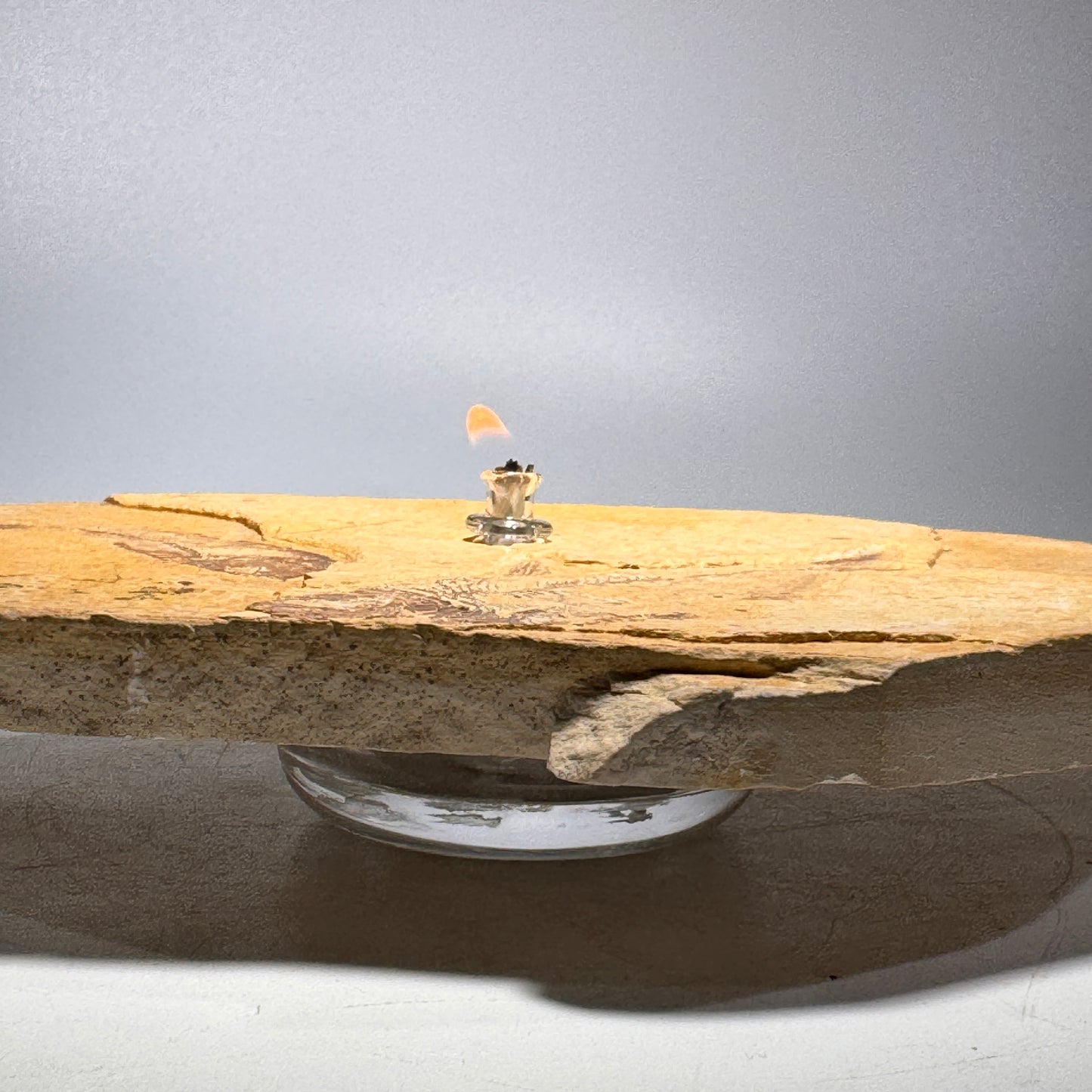 Rock Candle, Wyoming Fish Fossil