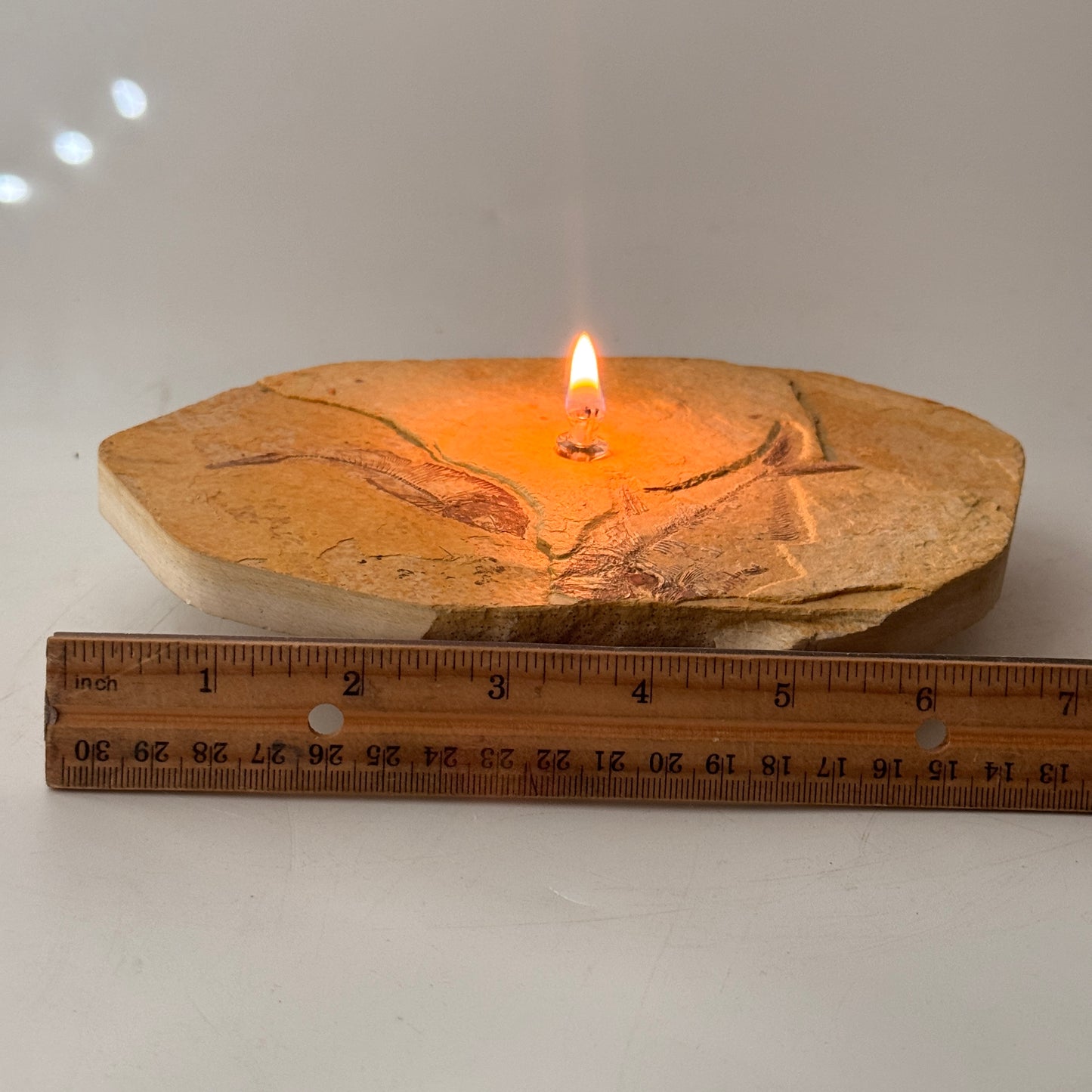 Rock Candle, Wyoming Fish Fossil