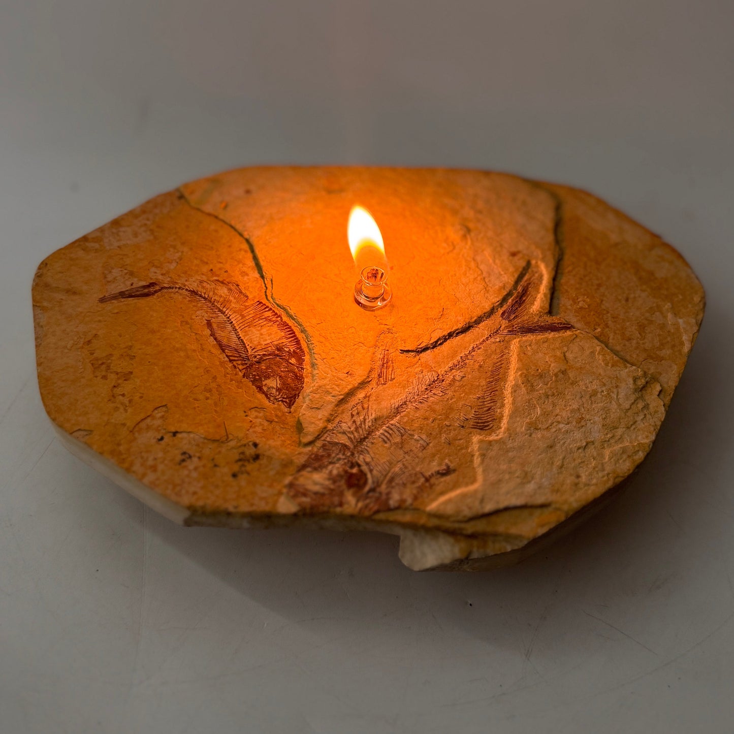 Rock Candle, Wyoming Fish Fossil