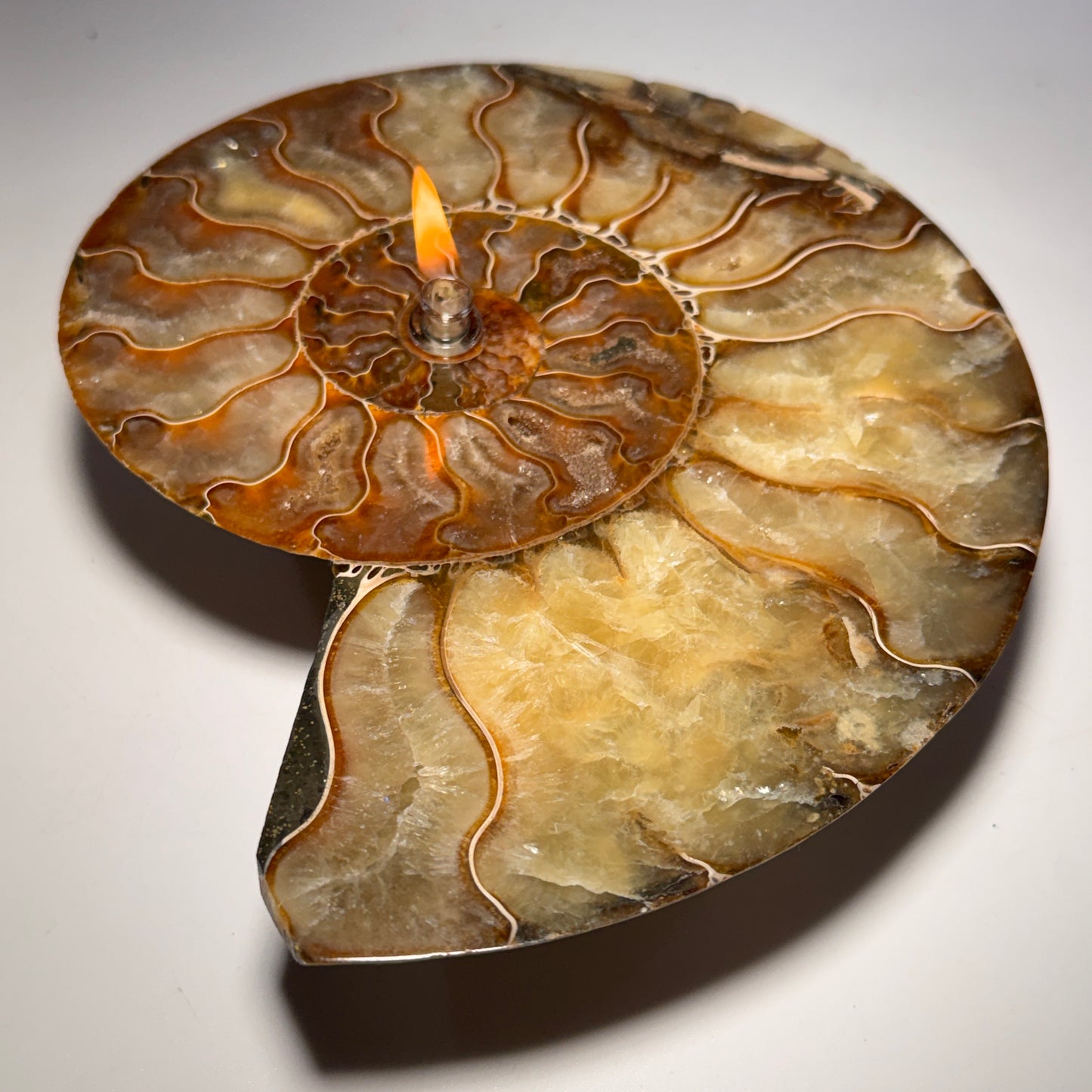 Manjunga Ammonite Fossil Cande – Handcrafted Rock Oil Lamp for Home Decor