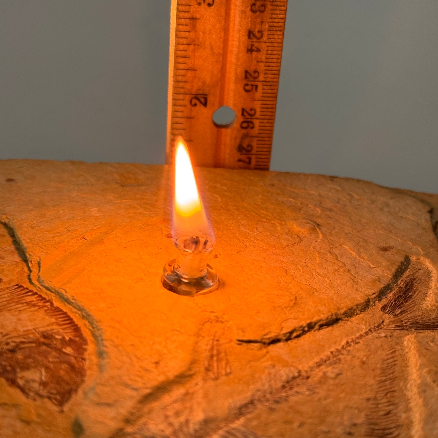 Rock Candle, Wyoming Fish Fossil