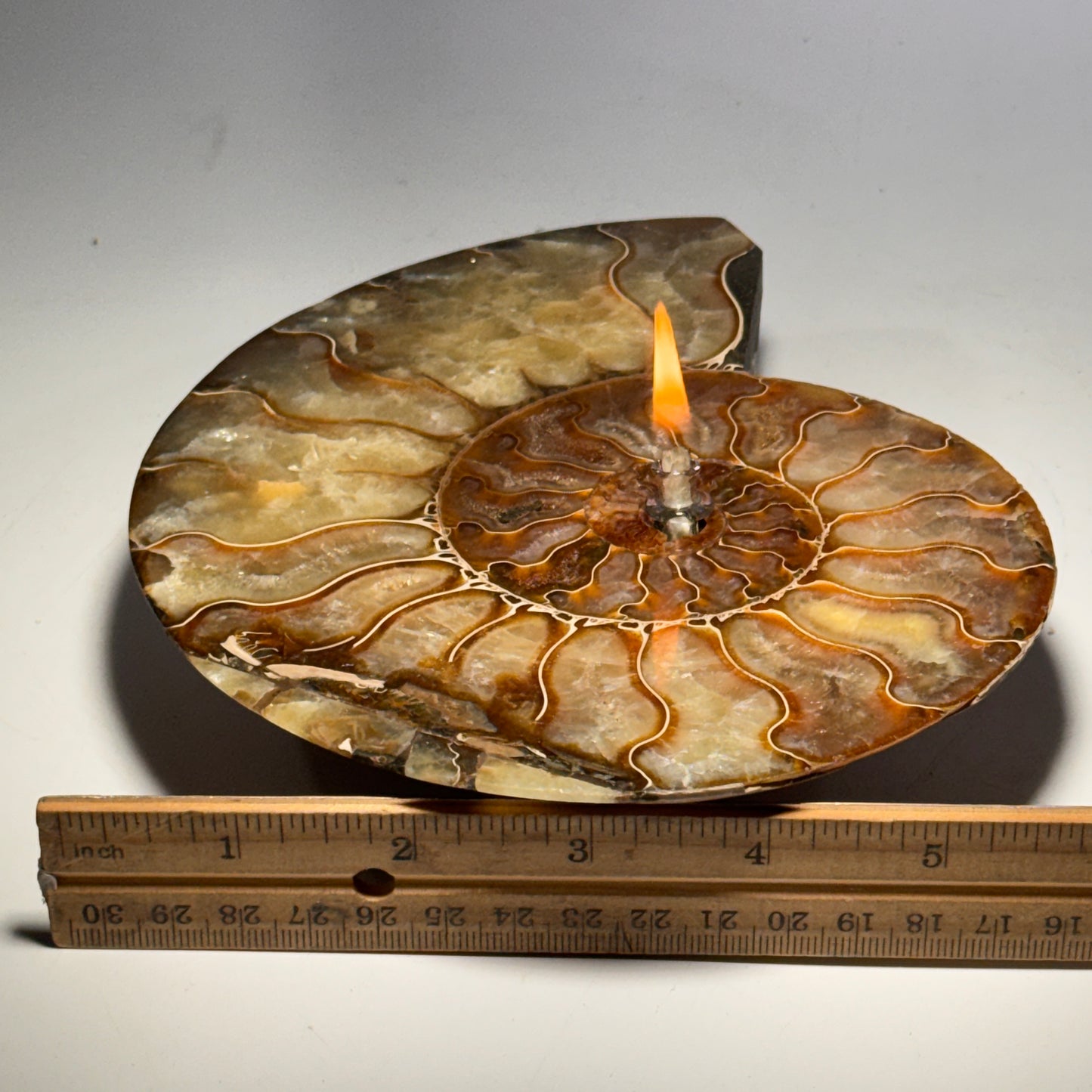 Manjunga Ammonite Fossil Cande – Handcrafted Rock Oil Lamp for Home Decor