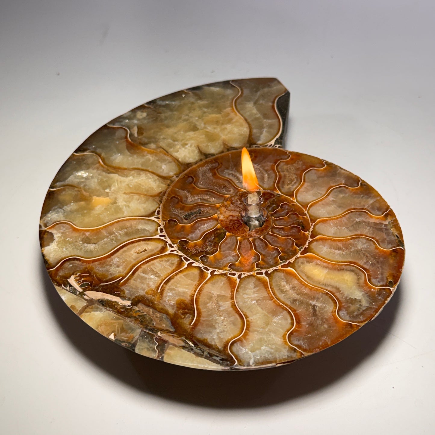 A spiral-shaped natural ammolite candle holder with a single lit wick, casting a warm flame, photographed on a neutral light gray background.