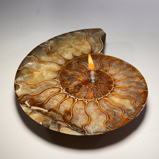 Ammonite fossil rock oil lamp with flame, front view of the wide shell dish