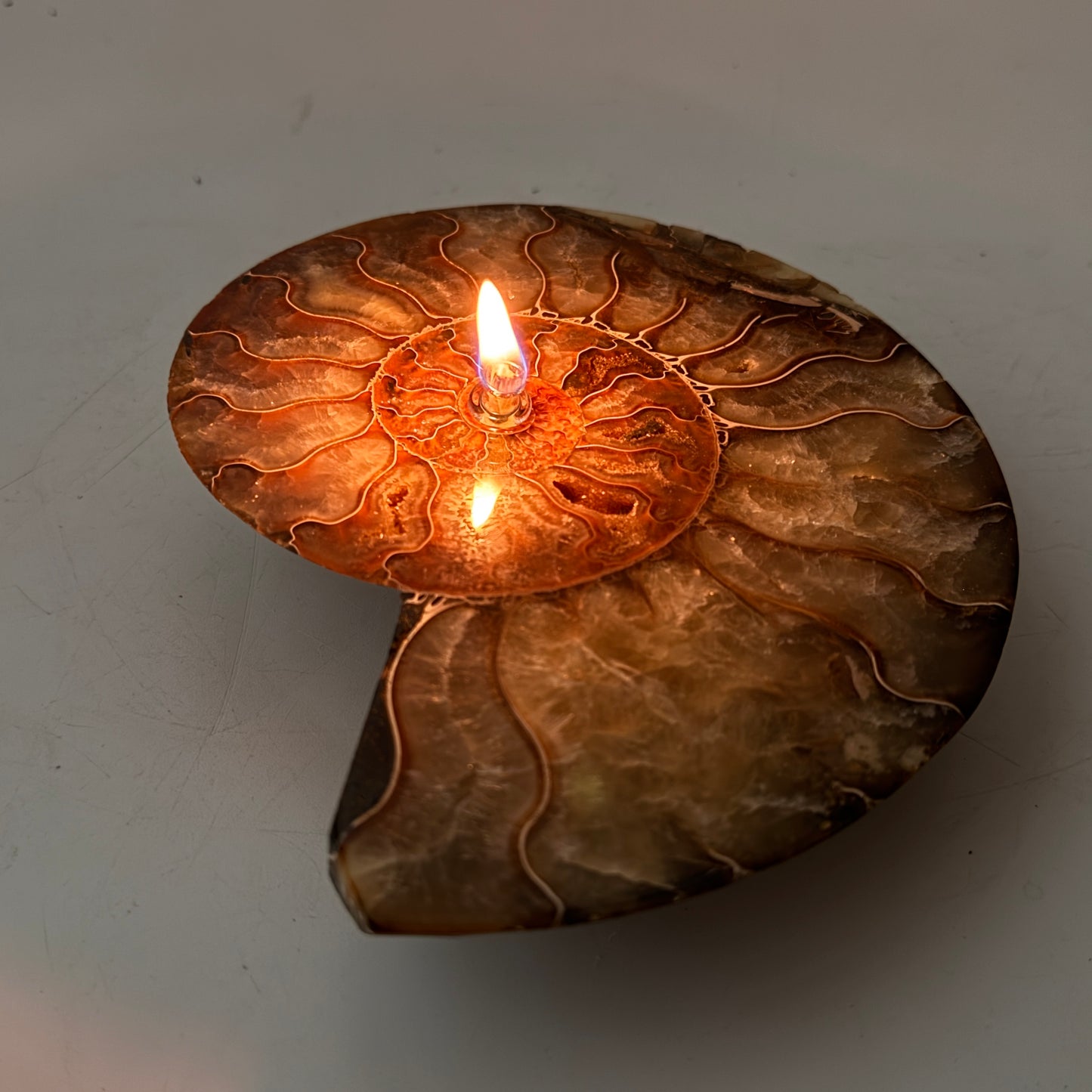 A lit candle set inside a polished ammonite shell, casting a warm glow against a neutral gray background.