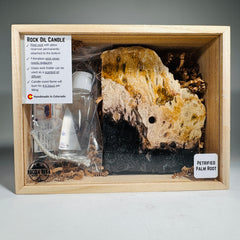 Rock Candle gift box - petrified palm root