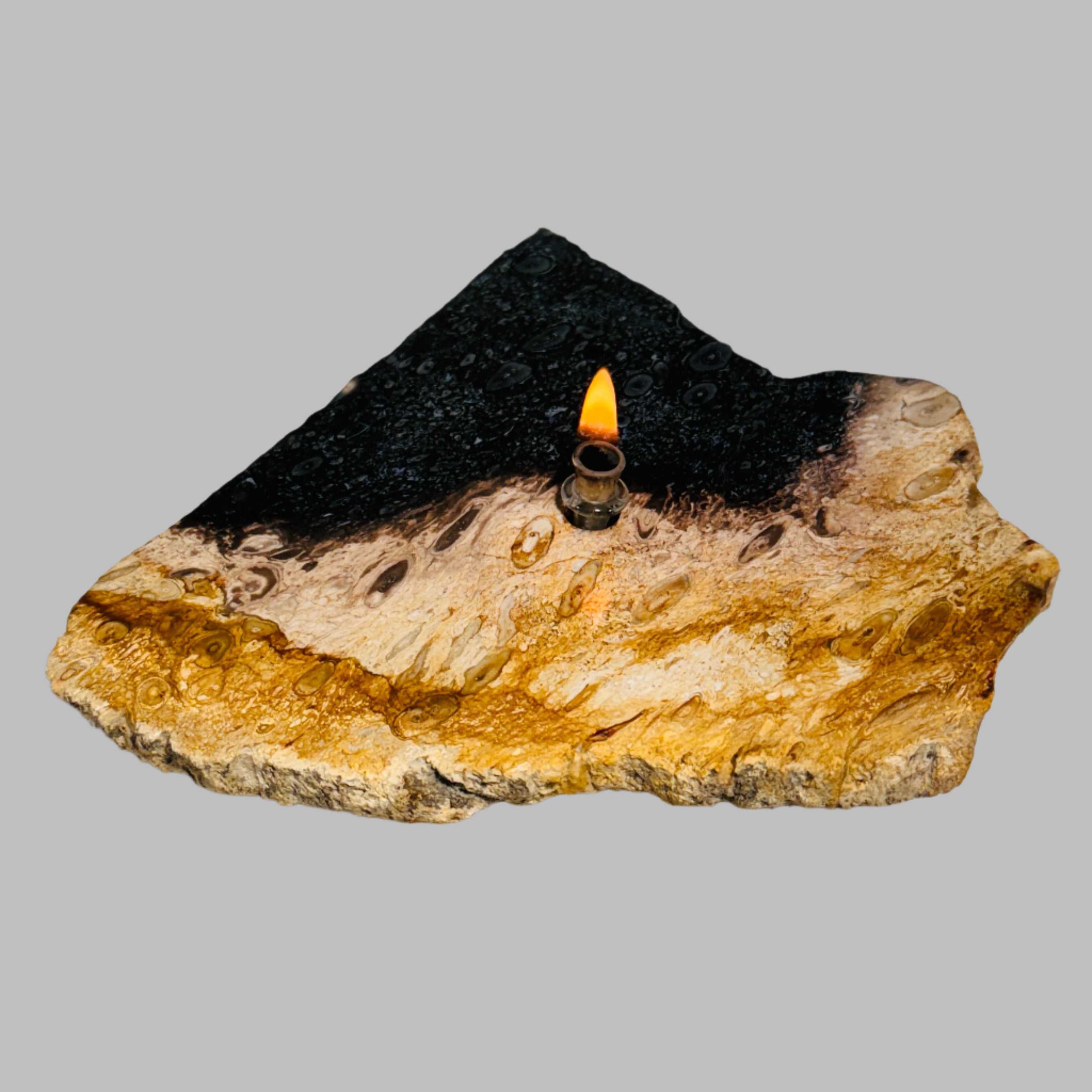 Rock Candle gift box - petrified palm root