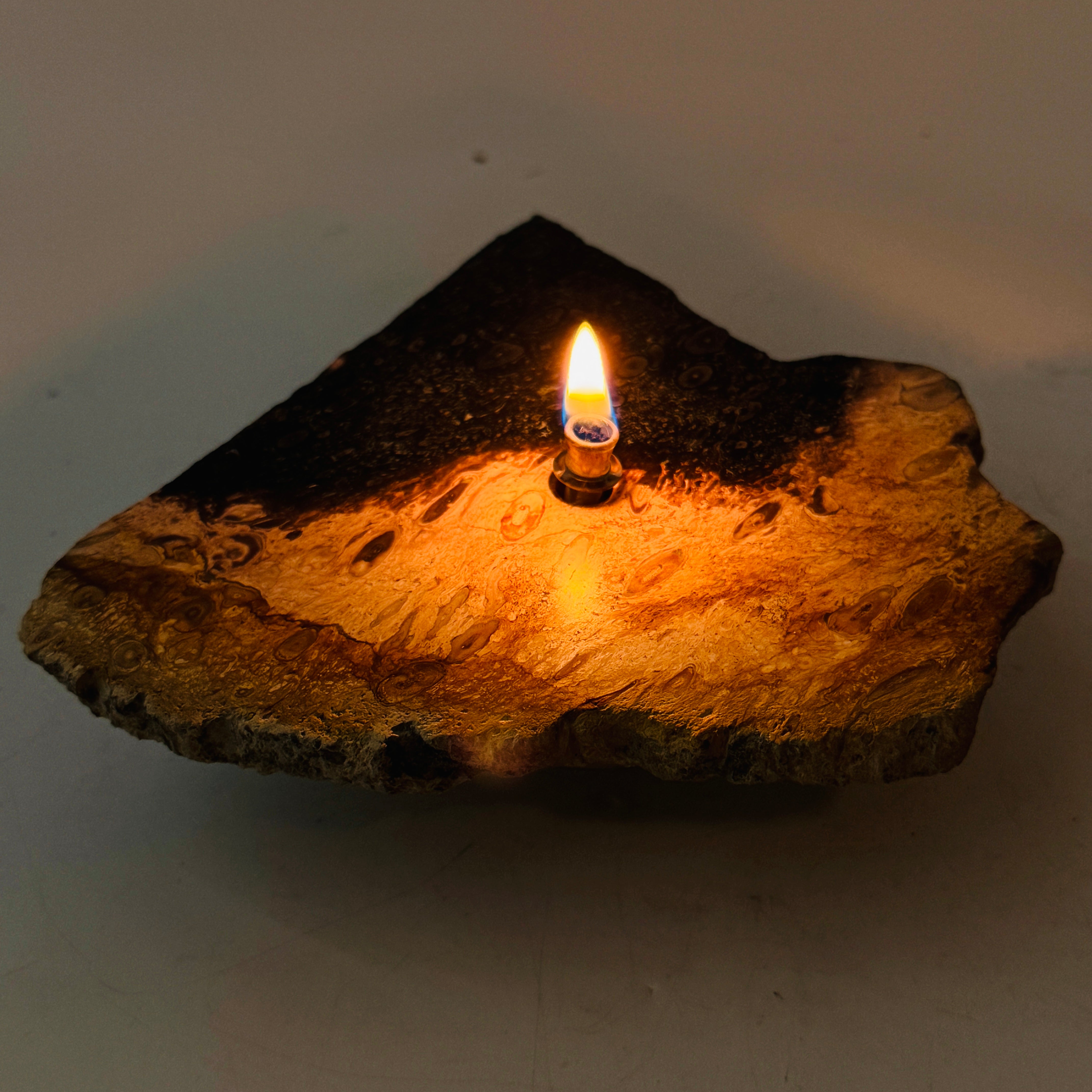 Rock Candle gift box - petrified palm root