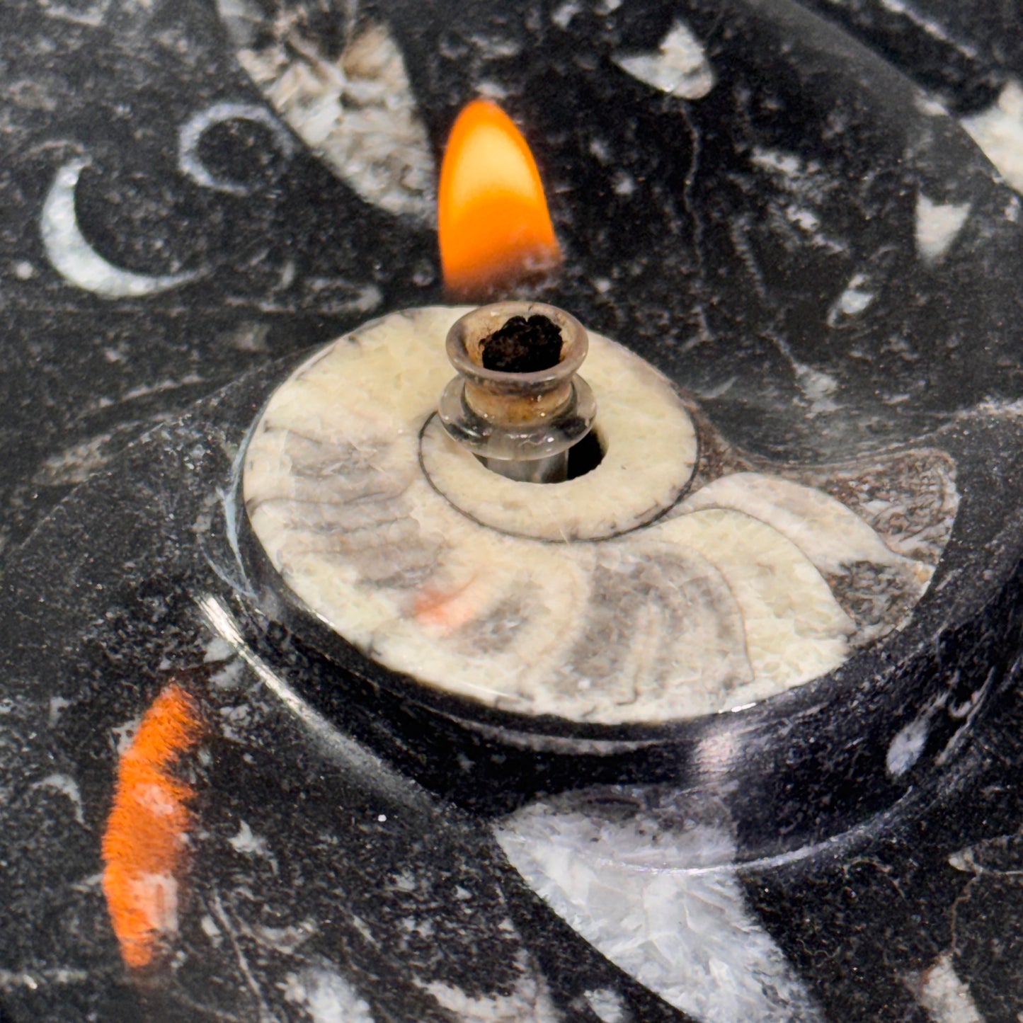 Moroccan Cephalopod Fossil Bowl Candle – Ammonite & Orthoceras Rock Oil Lamp for Home Decor