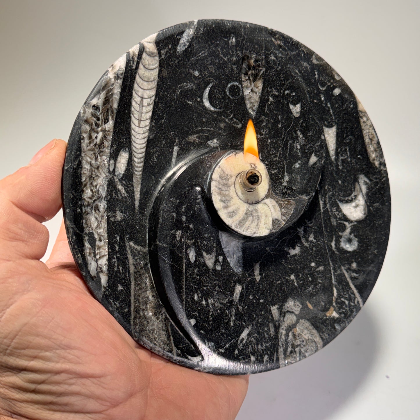 Moroccan Cephalopod Fossil Bowl Candle – Ammonite & Orthoceras Rock Oil Lamp for Home Decor