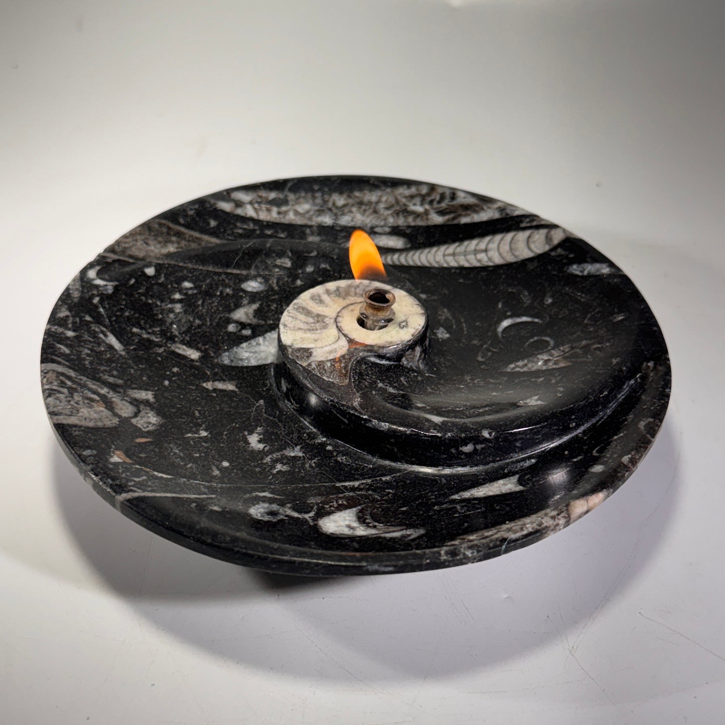 Moroccan Cephalopod Fossil Bowl Candle – Ammonite & Orthoceras Rock Oil Lamp for Home Decor