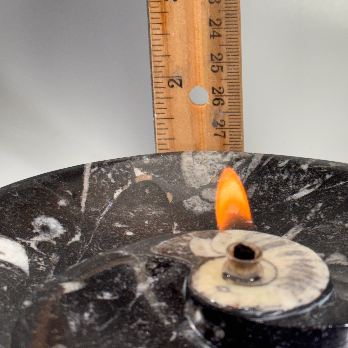 Moroccan Cephalopod Fossil Bowl Candle – Ammonite & Orthoceras Rock Oil Lamp for Home Decor
