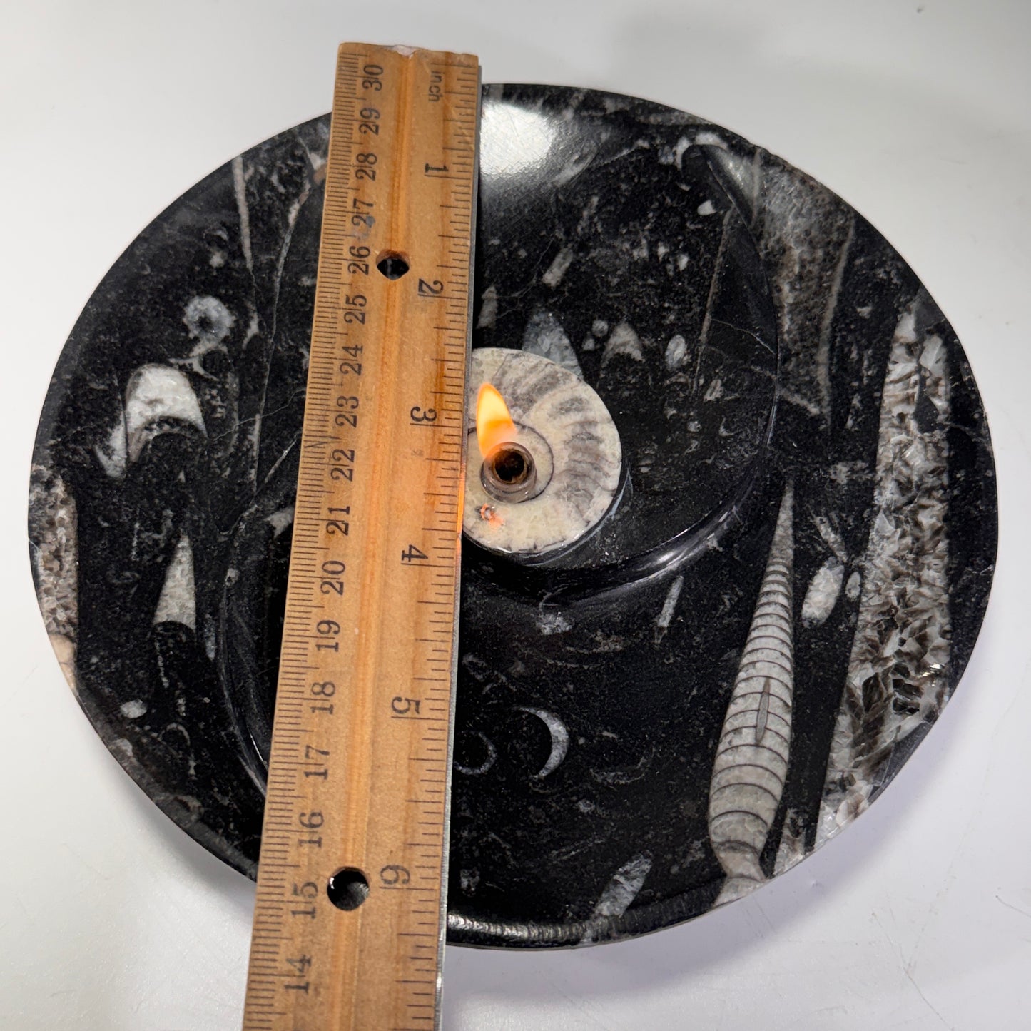Moroccan Cephalopod Fossil Bowl Candle – Ammonite & Orthoceras Rock Oil Lamp for Home Decor
