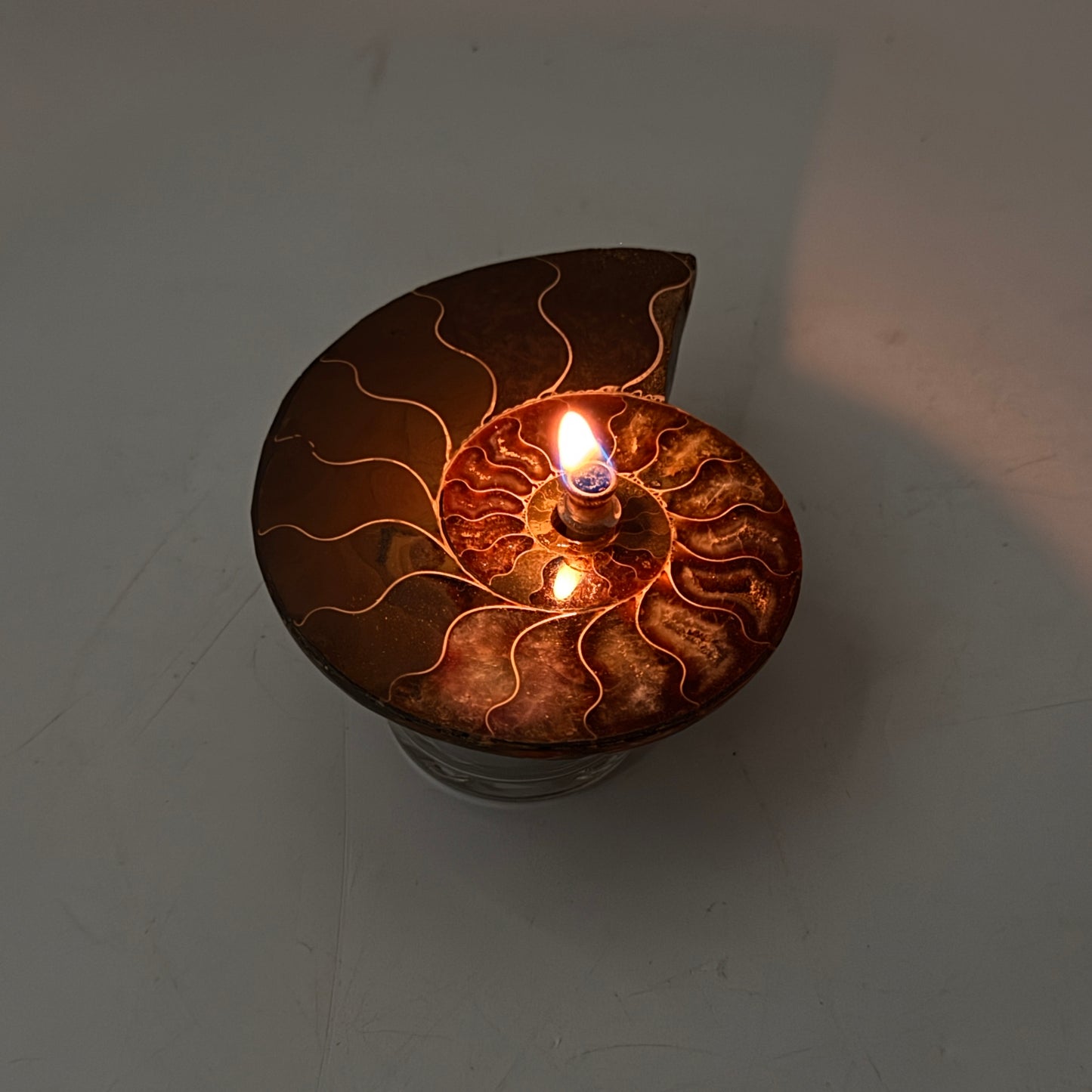 Manjunga Ammonite Fossil Cande – Handcrafted Rock Oil Lamp for Home Decor