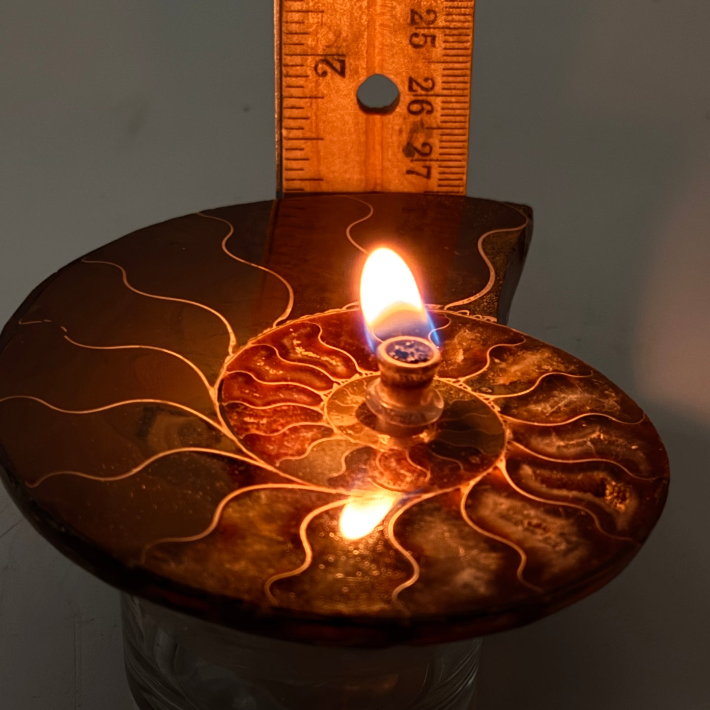 Manjunga Ammonite Fossil Cande – Handcrafted Rock Oil Lamp for Home Decor