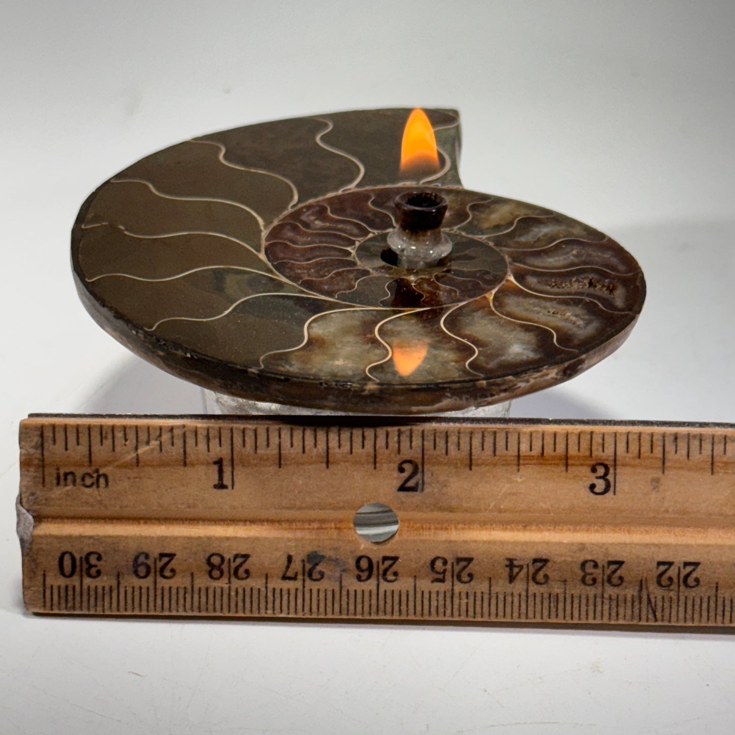 Manjunga Ammonite Fossil Cande – Handcrafted Rock Oil Lamp for Home Decor