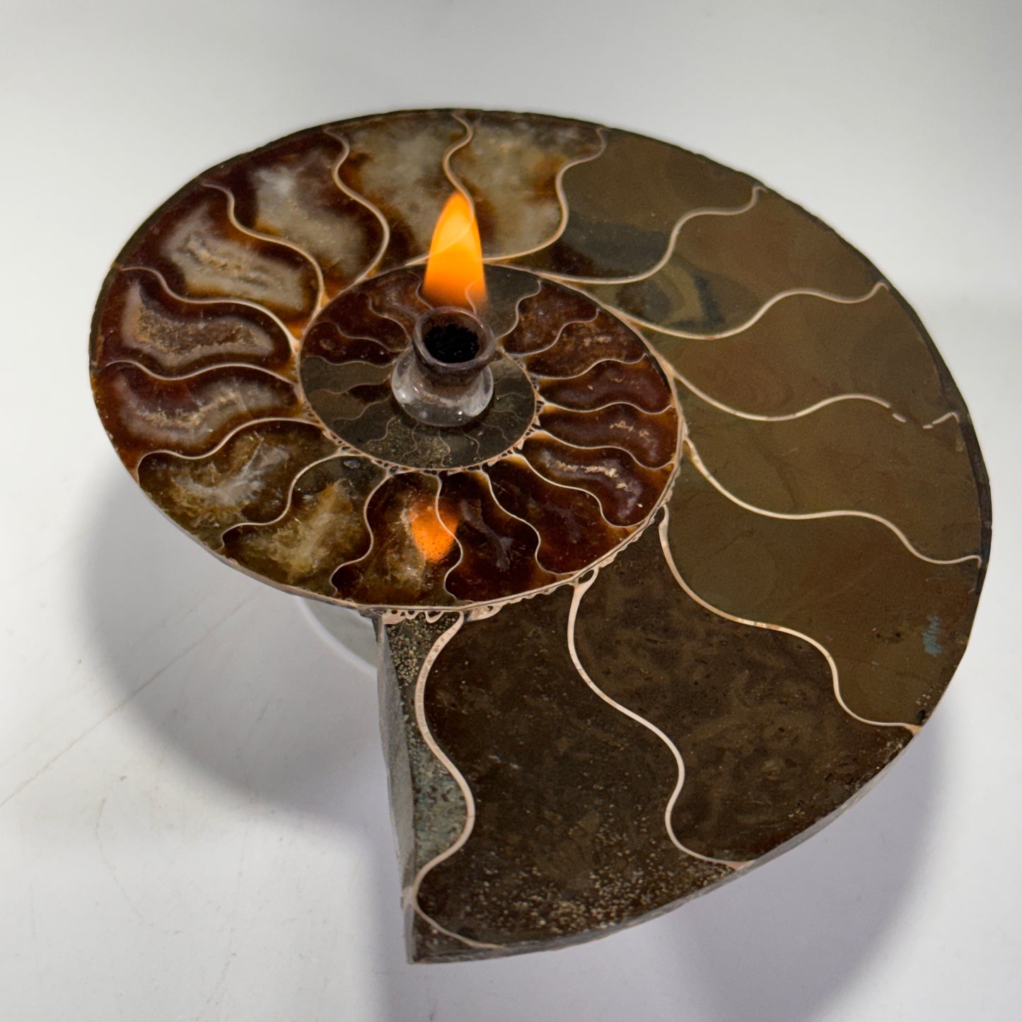 Manjunga Ammonite Fossil Cande – Handcrafted Rock Oil Lamp for Home Decor