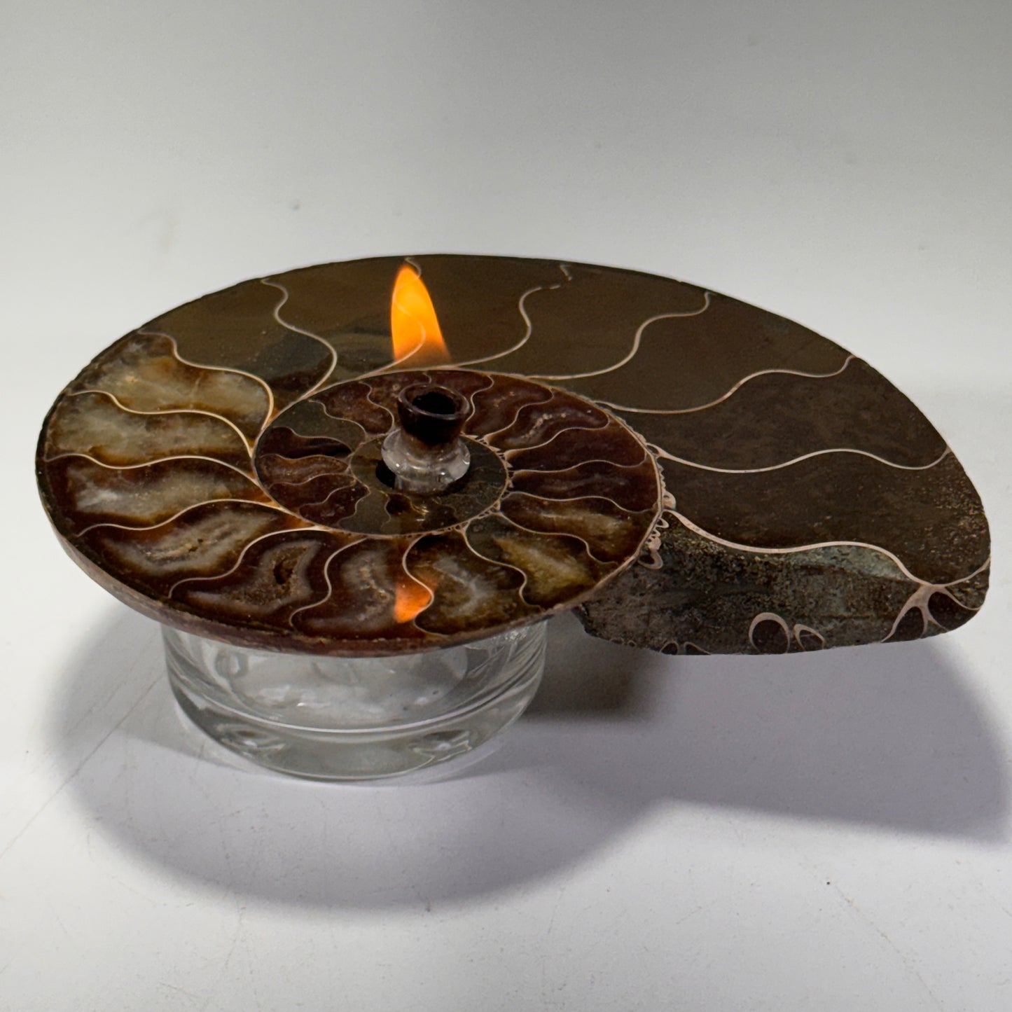 Manjunga Ammonite Fossil Cande – Handcrafted Rock Oil Lamp for Home Decor