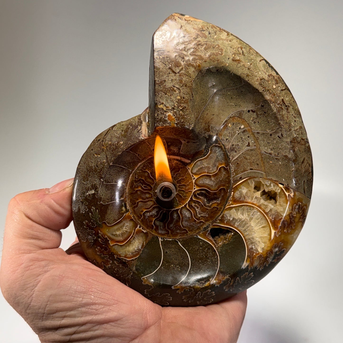 Manjunga Ammonite Fossil Bowl Candle– Handcrafted Rock Oil Lamp for Home Decor